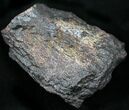 Red Agatized Dinosaur Bone - Ounces #25559-1